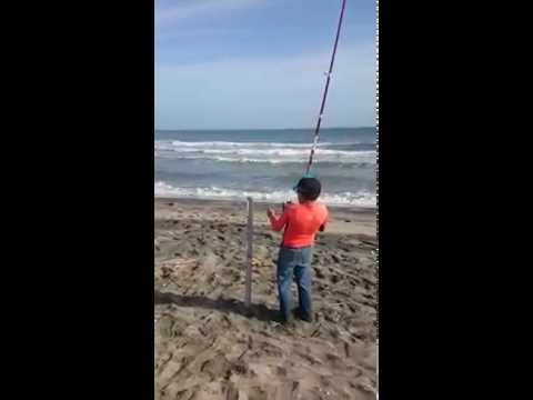 Alacranes Surfcasting Tabasco Corvina 750 gr niño 10 años