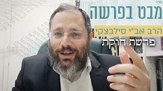 הרב אברהם ישראל סילבצקי | מבט בפרשה | פרשת חקת | תמוז תשפ"ה (ישיבת מרכז הרב) - התמונה מוצגת ישירות מתוך אתר האינטרנט יוטיוב. זכויות היוצרים בתמונה שייכות ליוצרה. קישור קרדיט למקור התוכן נמצא בתוך דף הסרטון הרב אברהם ישראל סילבצקי | מבט בפרשה | פרשת חקת | תמוז תשפ"ה (ישיבת מרכז הרב) - התמונה מוצגת ישירות מתוך אתר האינטרנט יוטיוב. זכויות היוצרים בתמונה שייכות ליוצרה. קישור קרדיט למקור התוכן נמצא בתוך דף הסרטון