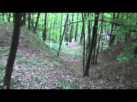 INGLEBY DAVIDESTI CONTESTI