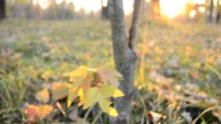 preview picture of video 'Autumn in Kiev 2011.mp4'