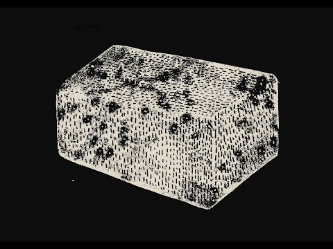 Leeb0rn - Leeb0rn – Unseeing and Unseeable (Official Video)