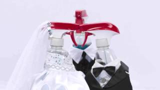 Windex® Brand and My Big Fat Greek Wedding 2 Video