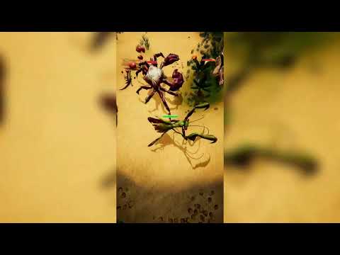 Insects Eater