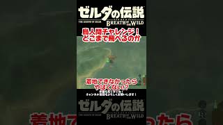 鳥人間チャレンジで味を占める人【ゼルダの伝説ブレスオブザワイルド】#ブレワイ＃ゲーム実況