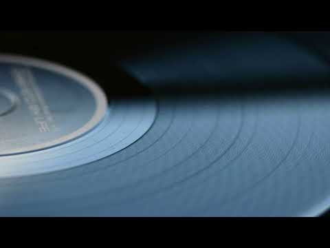 Daniel Levak  - Rolling on Fleek