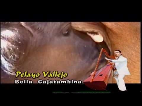 Cajatambina - Pelayo Vallejo