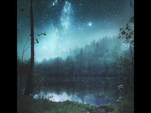 Organic Dreamers - Organic Sadness