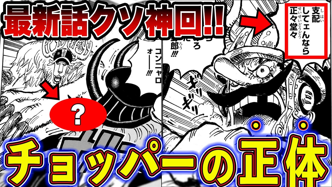 【最新1177話】麦わらの一味クソぱねぇ！仲間の大活躍とチョッパーの悪魔の実徹底解説【ゆっくり解説】【ワンピース】