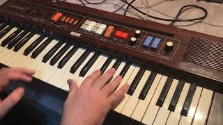 Video thumbnail for Casio Casiotone 403 by Musicnectar