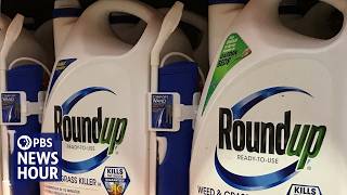 Supreme Court Weighs Roundup Cancer Lawsuits