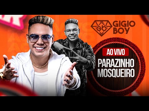 GIGIO BOY AO VIVO NO PARAZINHO ( MOSQUEIRO ) 02/11/2025 ⭐💎🥇🏆
