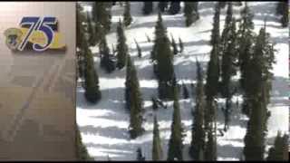 On Dasher: Caribou Capture in Canada