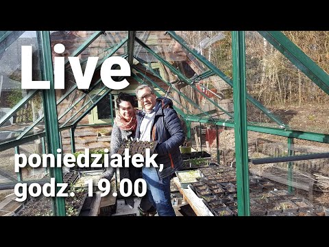 24. Ogrodowy live. Zapis transmisji z poniedziałku, 29 marca, godz. 19.00.