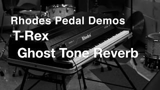 Video thumbnail for Rhodes Pedal Demos - T-Rex Ghost Tone Reverb by Peder Kolsung