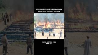 Download lagu This wheat field was deliberately burned #filmstoryline #film mp3
