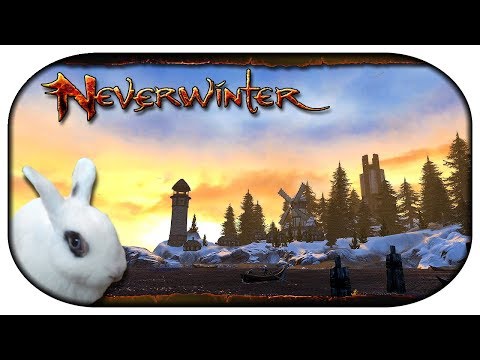 NEVERWINTER: Paladin-LP 🐇 135 - Wo geht es nach Icewind Dale?