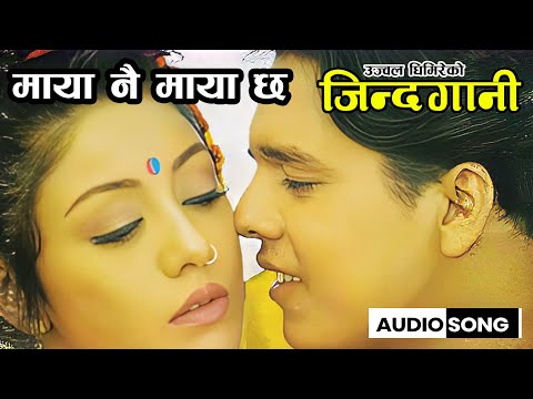 Maya Nai Maya Chha (Movie Song _ Audio) || Nepali Movie JINDAGANI Song || Dilip Rayamajhi, Karishma