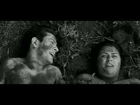 Alejandra Recoba.El Extrañante (G.  Ferro).