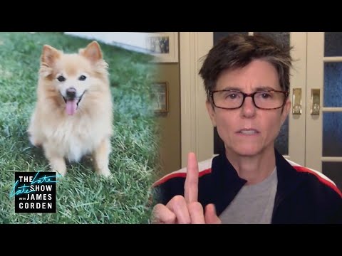 Tig Notaro為節目製作人的狗取名 (Tig Notaro Names a Show Producer's Dog)