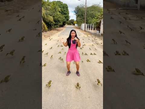 Ataque dos sapos