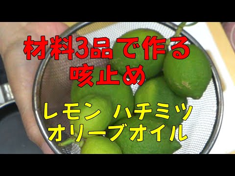 オニオンジュースを作る:咳止めシロップを自分で作る方法です 植物