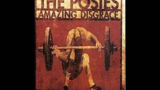 The Posies - Daily mutilation