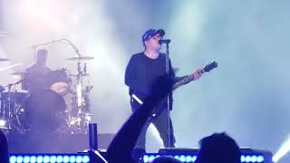 Fall Out Boy| Chicago Wrigley Intro and Disloyal Order of Water Buffalos