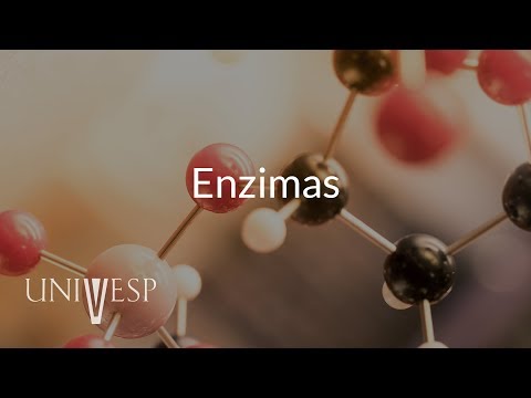 Bioquímica - Enzimas | Aula 9