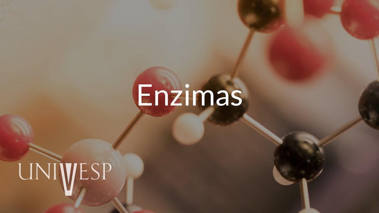 Bioquímica - Aula 09 - Enzimas