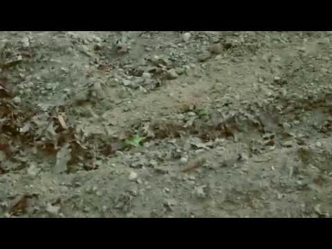 GUCCI BOY BARZ "TURN UP" PROD BY JEAN BEATZ FILMED BY GRINDTIME TEC