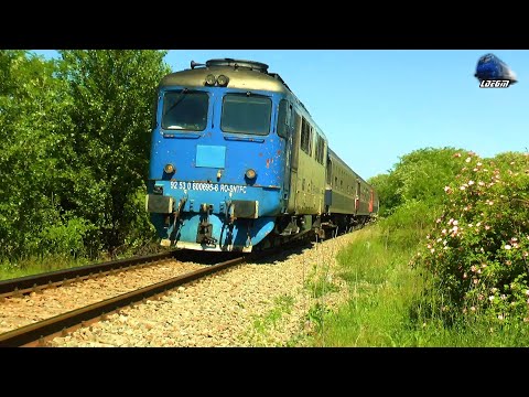 🚂Trenuri de Călători în Viteză în Biharia/🚂Passenger Trains on Speed in Biharia - 26 May 2021