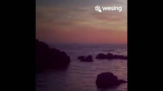 Download lagu Video ini dari WeSing mp3