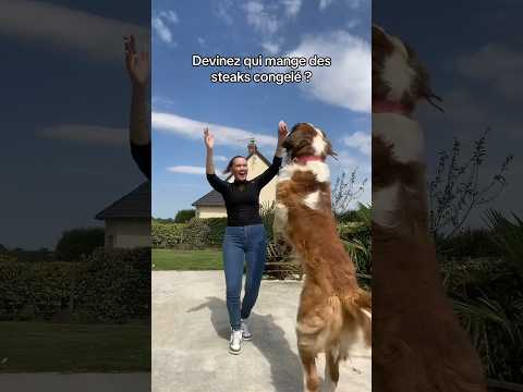 Il me dépasse #shortvideo #short