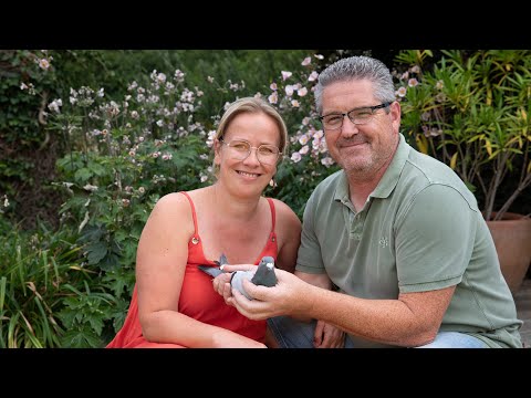 National (Grand Prix) NPO winners 2022: Bergerac II - Guy Fijen, Nieuw-Namen (Eng. subs)