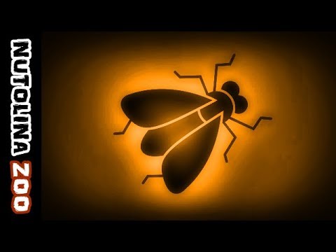 download lagu mp3 mp4 Fly Sound, download mp3 Fly Sound free downloadn, video klip Fly Sound