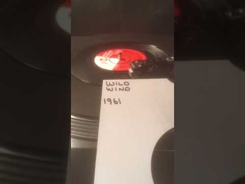 John Leyton - Wild Wind ( Vinyl 45 ) From 1961 .