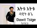 New Ethiopian Music Dawit Tsige Etitu Etitu Lyrics