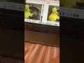 The Best Of Elmo End Credits