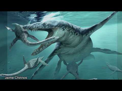 Liopleurodon And The Pliosaurs