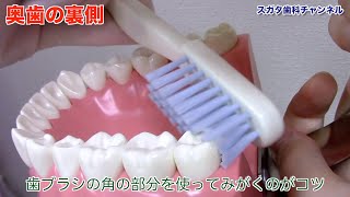 医療法人社団　スガタ歯科医院
