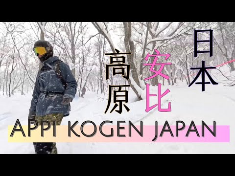 25-0115 Appi Kogen (Small Japow) [Snowboarding] / 安比高原 (小粉雪) [單板滑雪] / 安比高原 [スノボ]
