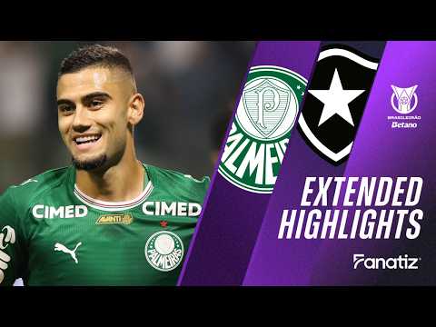 Palmeiras 2 X 1 Botafogo