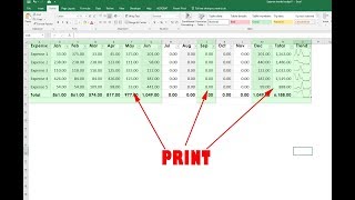 Only print select columns in MS excel