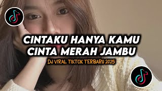 Download lagu DJ Cintaku Hanya Kamu Cinta Merah Jambu Remix Viral TikTok Terbaru 2025 Full Bass mp3