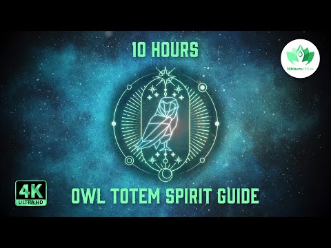 OWL TOTEM - Meet Your Animal Spirit Guide: Guided Meditation Visualization, The Magic Book, Sleep