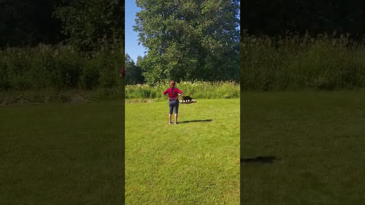 Moment 4 - Uthållighet