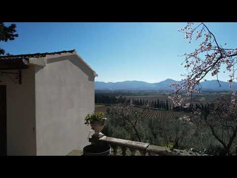 Un tuffo nelle vigne Morisfarms dalla Terrazza Moris