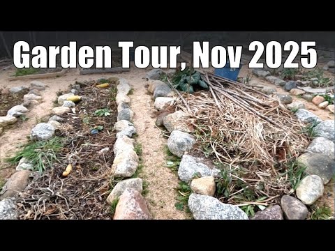 Nov 2025: Permaculture Garden Winter Prep & Resilience Tour