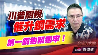 川普關稅催升銅需求，第一銅抱緊抱勞！｜台股攻略｜劉烱德 (圖)