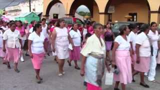 preview picture of video 'Desfile Rosa en Tepalcingo - Lucha contra el Cáncer de Mama'